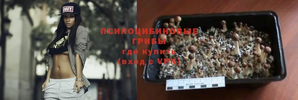 ГАЛЛЮЦИНОГЕННЫЕ ГРИБЫ Балахна