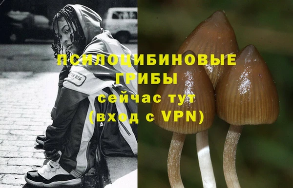 ГАЛЛЮЦИНОГЕННЫЕ ГРИБЫ Балахна