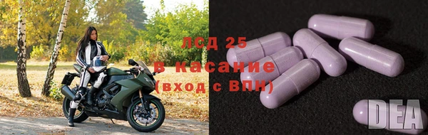 ГАЛЛЮЦИНОГЕННЫЕ ГРИБЫ Балахна